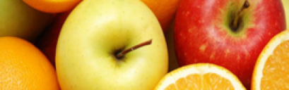 gallery/orange_photo1